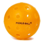 Dura Outdoor Pickleball