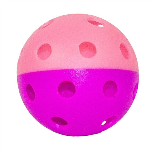 GAMMA Two-Tone Pickleball Indoor Training Ball